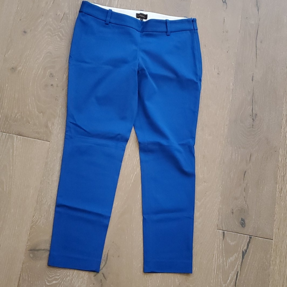 Aritzia blue cropped pants